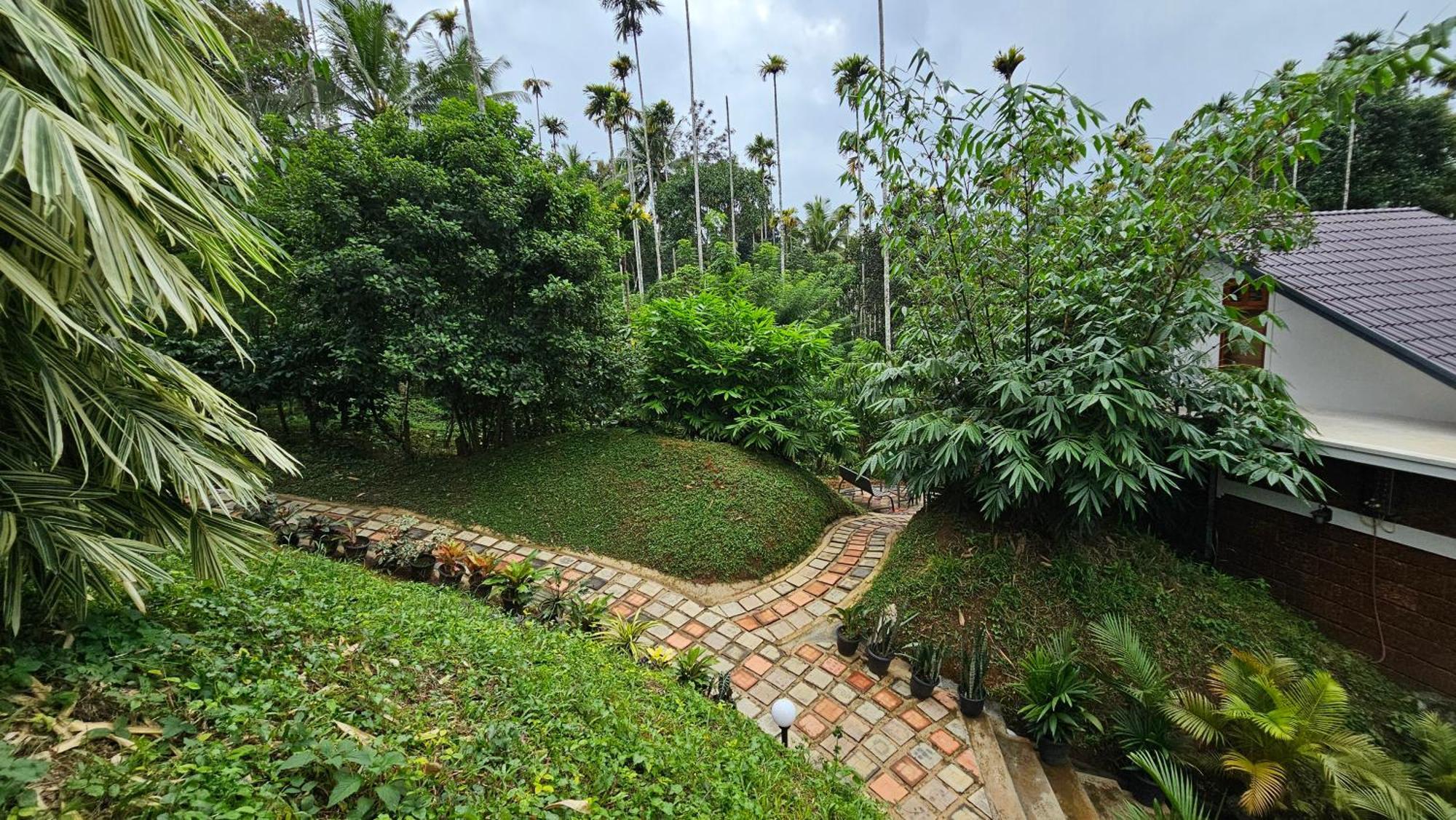 Casta Wild Resort Batheri المظهر الخارجي الصورة