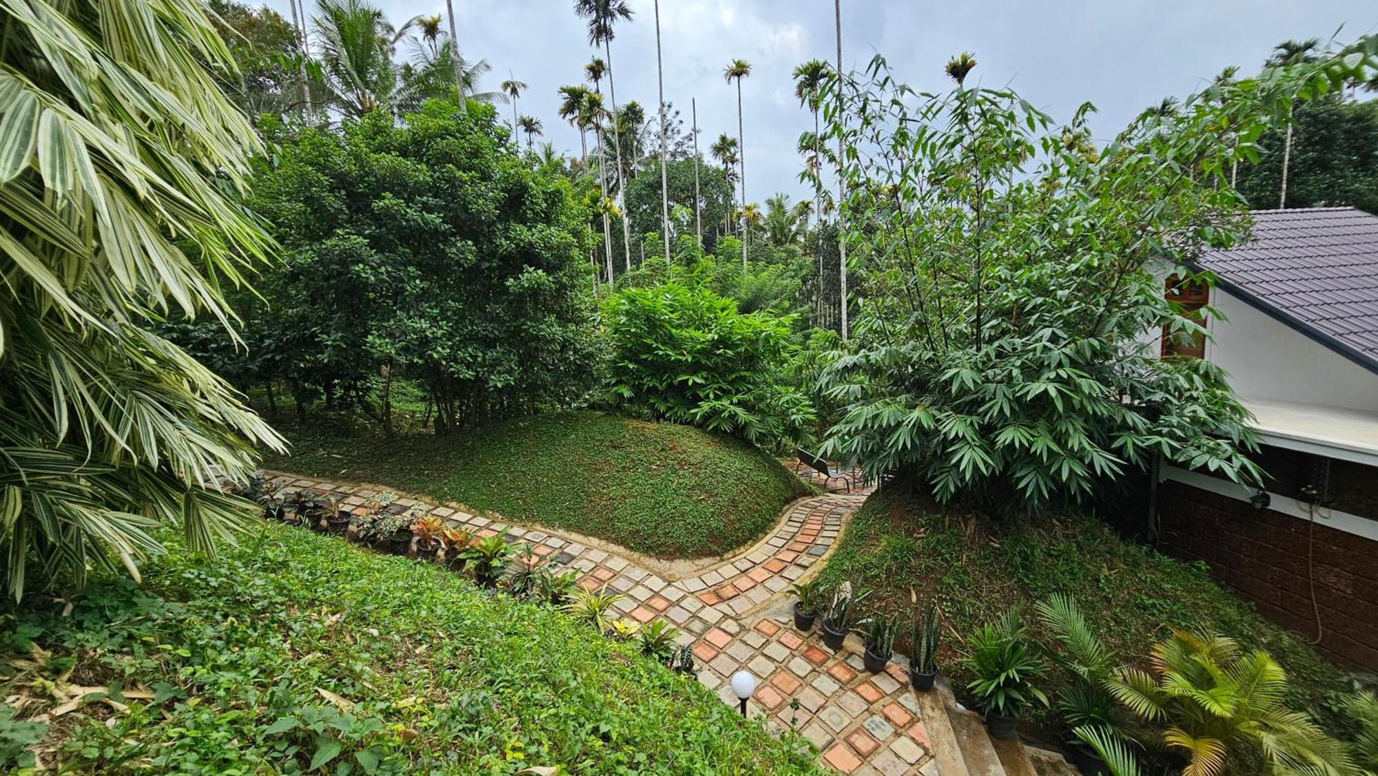 Casta Wild Resort Batheri المظهر الخارجي الصورة