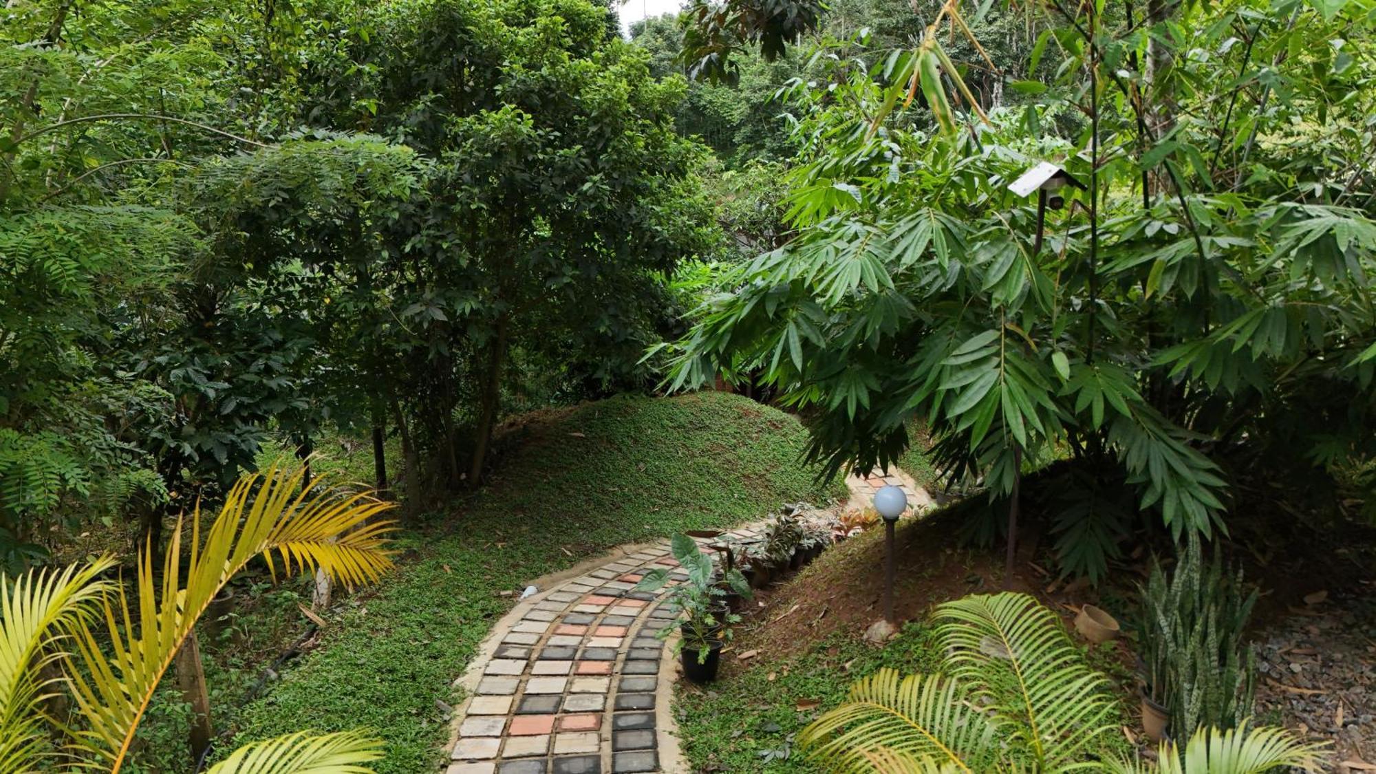 Casta Wild Resort Batheri المظهر الخارجي الصورة
